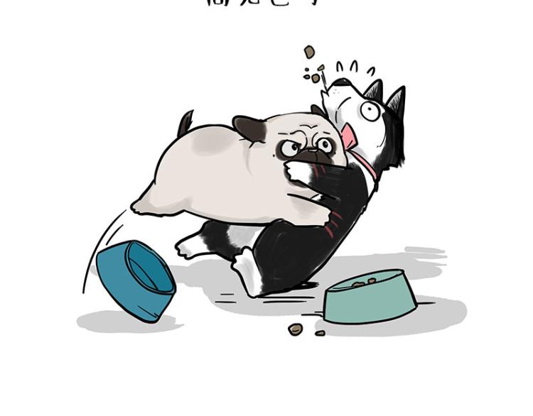 第292话 吐槽拯救世界47