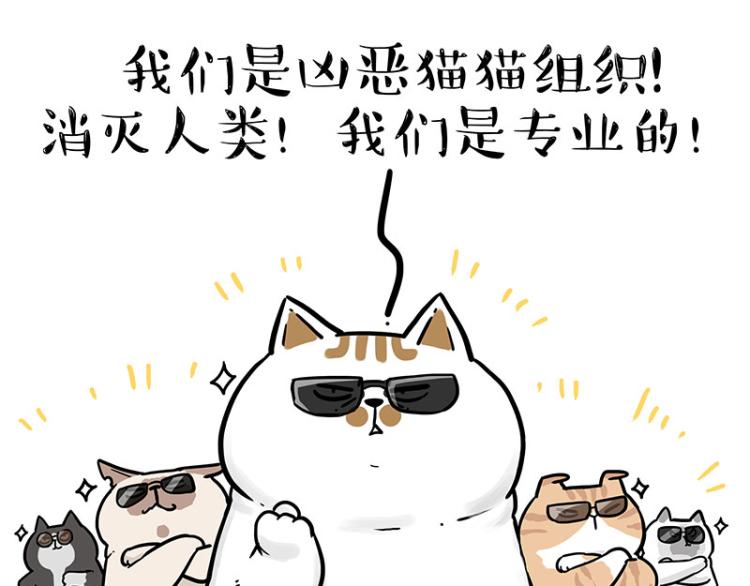 第290话 凶恶猫猫组织37