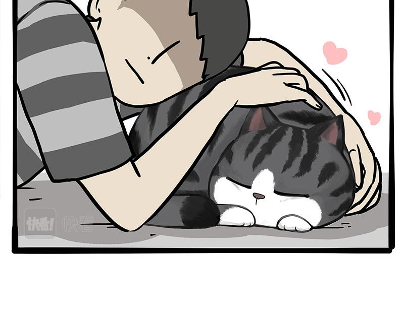 第349话 养只猫吧58