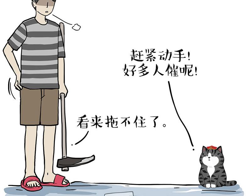 第320话 猫孵鱼53