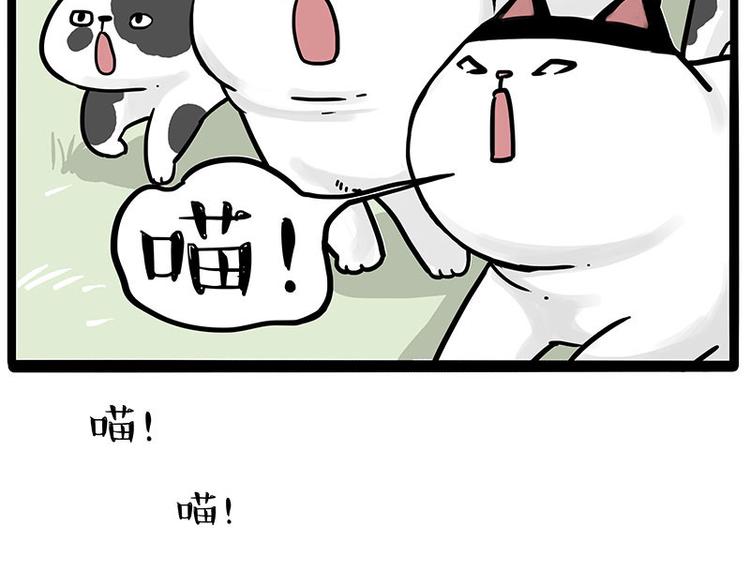 第271话 进击的流浪猫！56