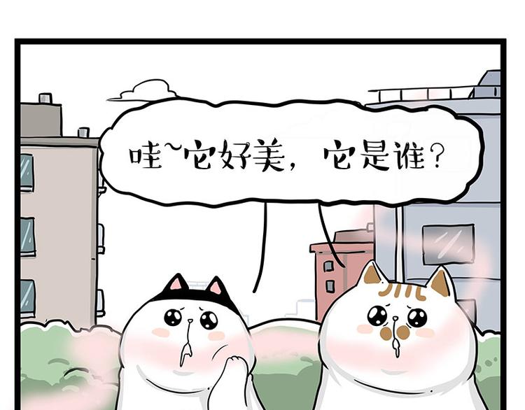 第284话 美喵竟是我自己20