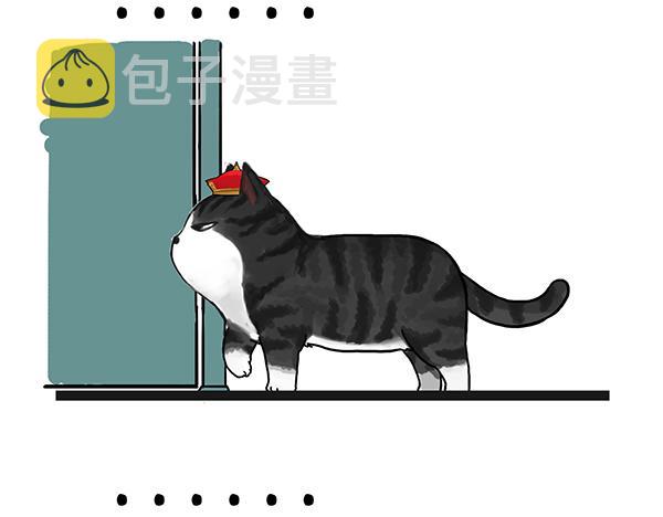 第71话 撸猫神器9