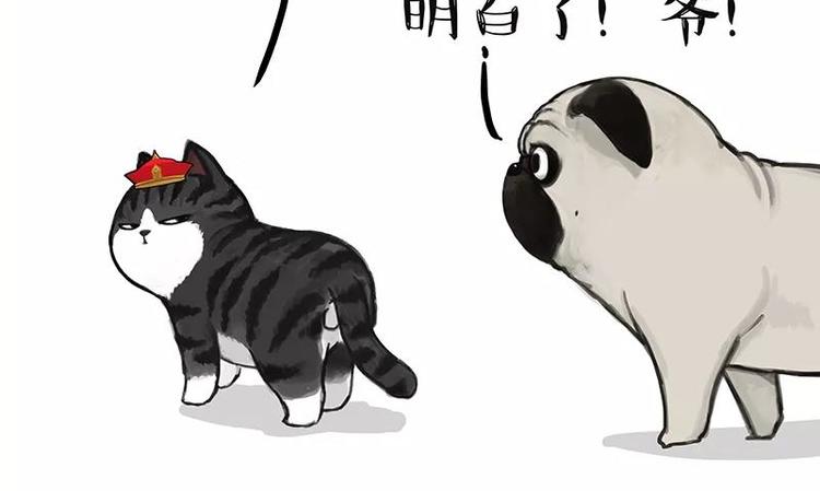 第227话 丑狗宿命11