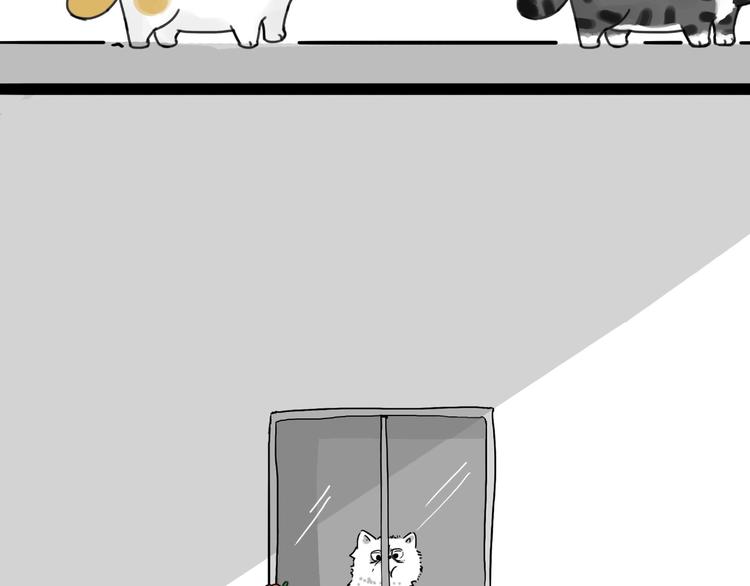 第185话 好兄弟！35