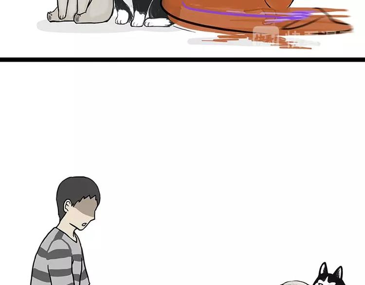 第155话 狗之礼仪9