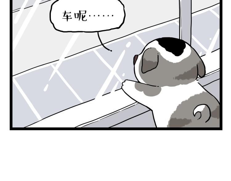 第267话 不让你流浪55