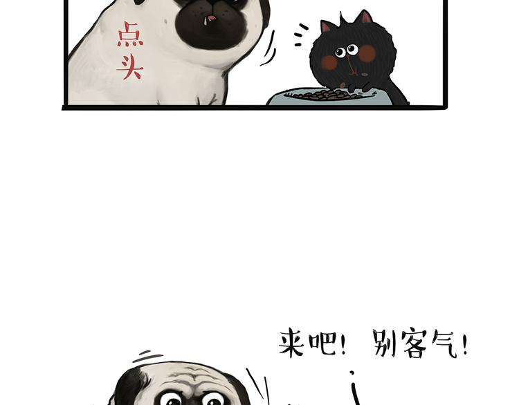 第51话 猫和狗的待遇就是不同9