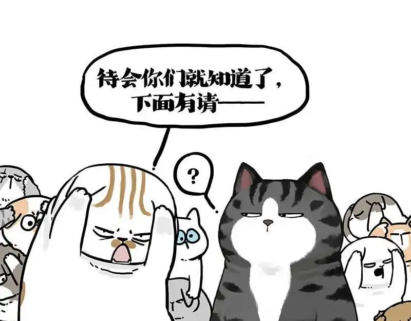 第404话 寻家计划1：啸天9
