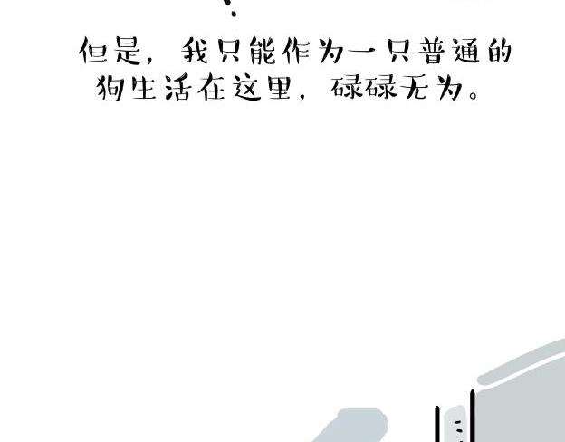 第212话 万能爹和“狗”生22
