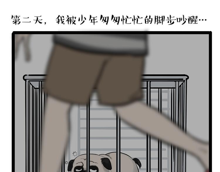 第202话 谁动了吾皇的猫粮21