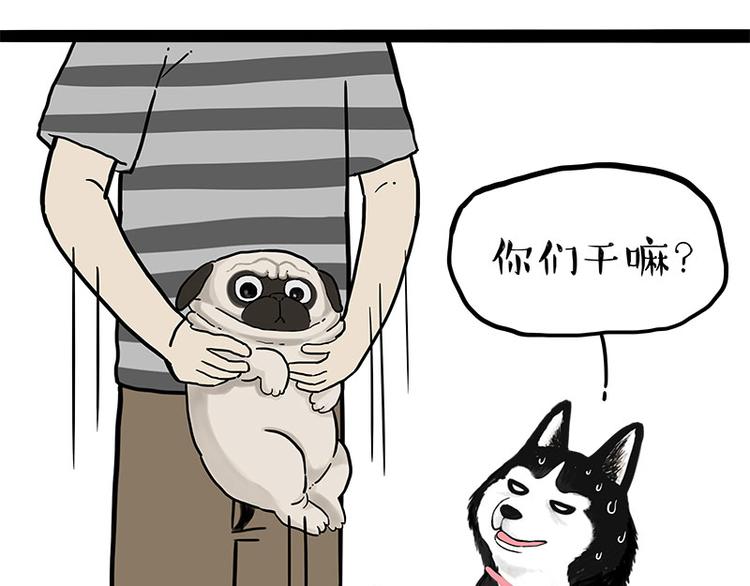 第242话 拆的就是你家56
