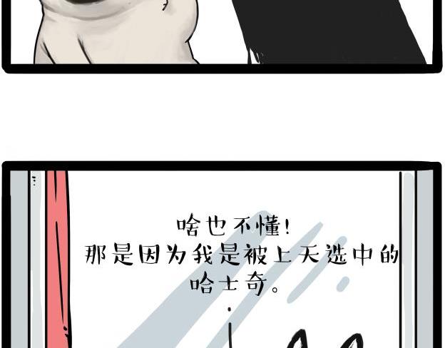 第212话 万能爹和“狗”生16