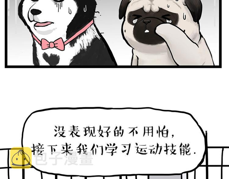 第280话 狗上学39