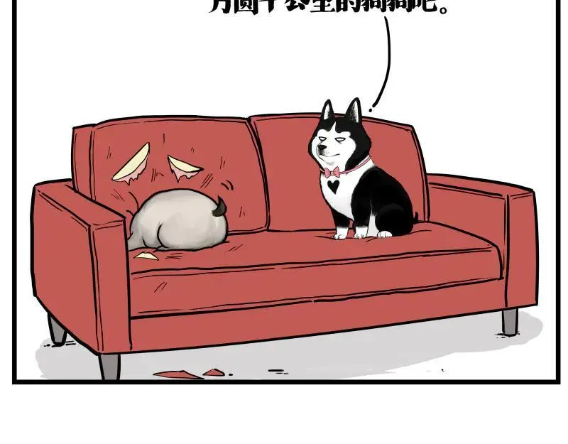 第423话 卡沙不拦卡13