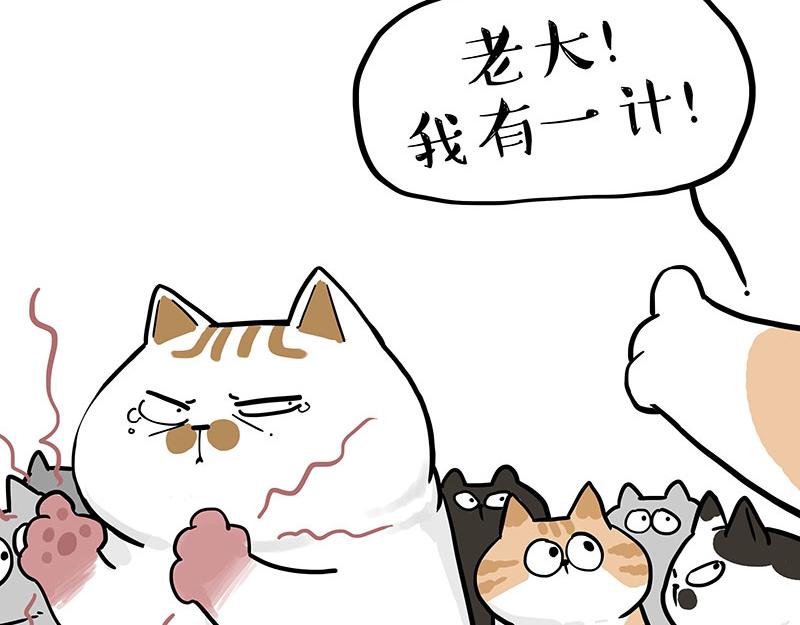 第320话 猫孵鱼5