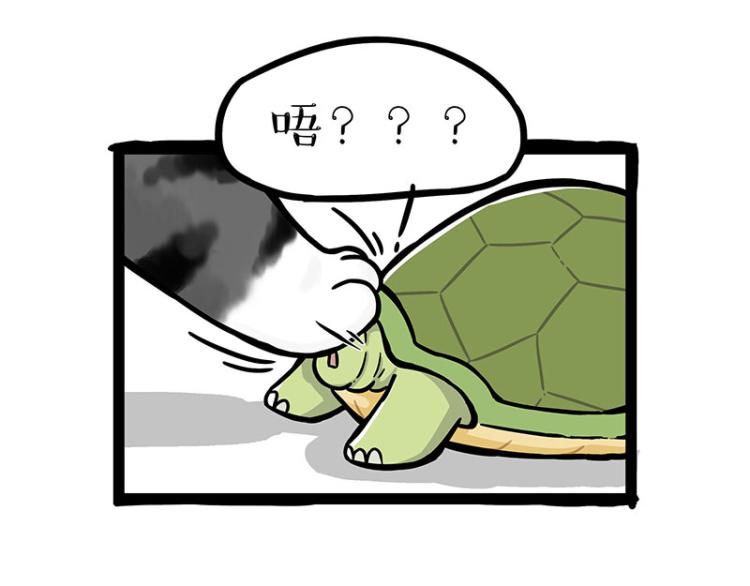 第286话 动物世界55
