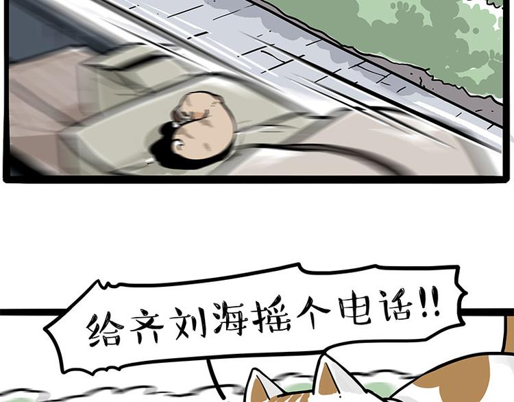 第271话 进击的流浪猫！38