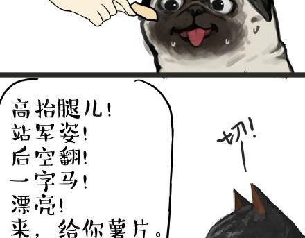 第21话 巴扎黑不是我亲生的！4