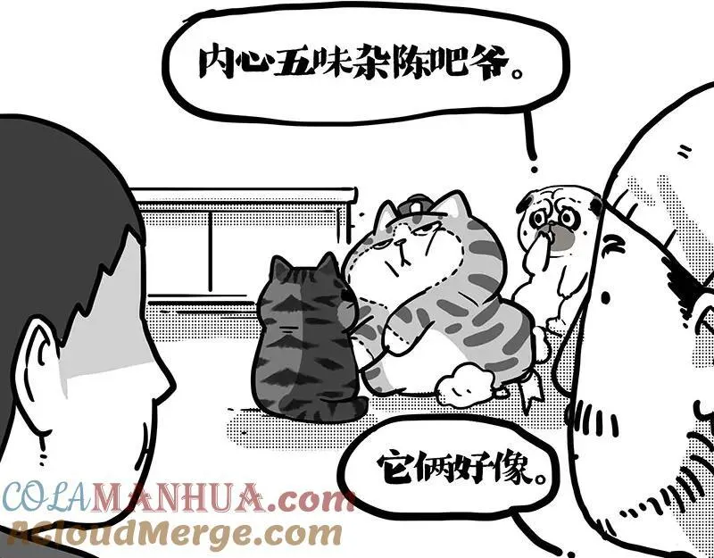第408话 小狗心事（下）18