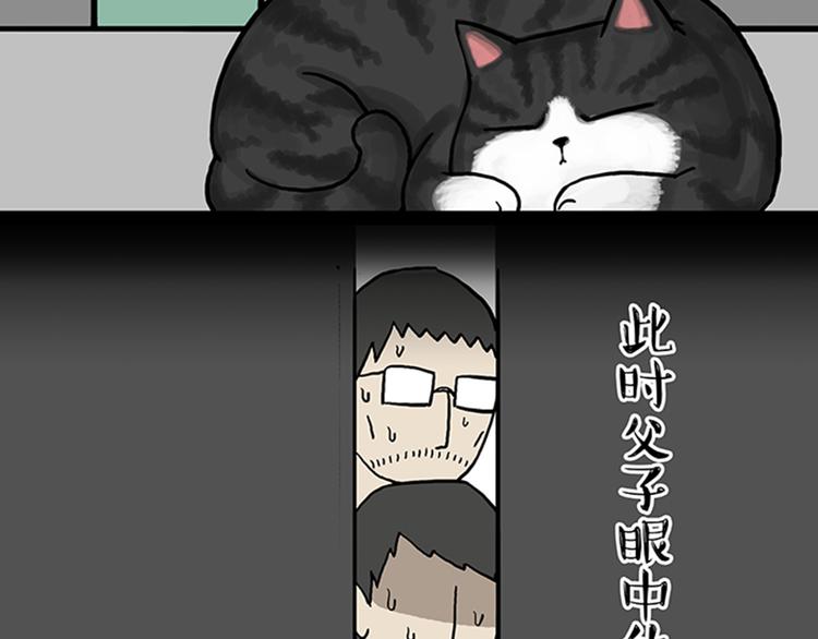 第33话 洗猫的少年总是孤独的31
