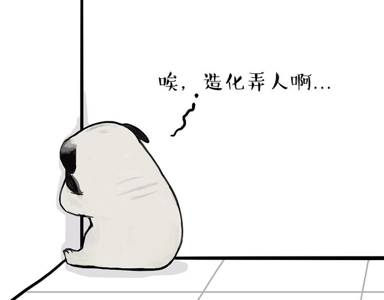 第181话 零食风波与蟑螂风波46