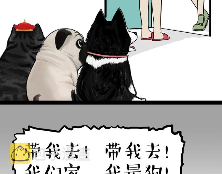 第153话 我最狗11