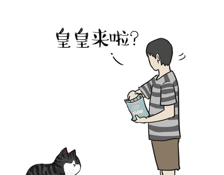 第42话 猫奴的“幸福”17
