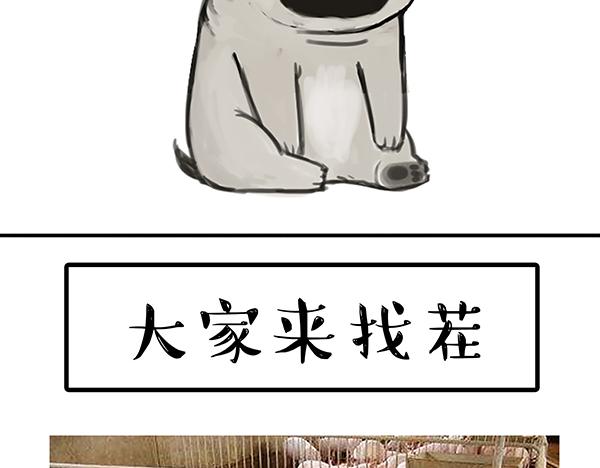 第68话 给你讲个笑话29