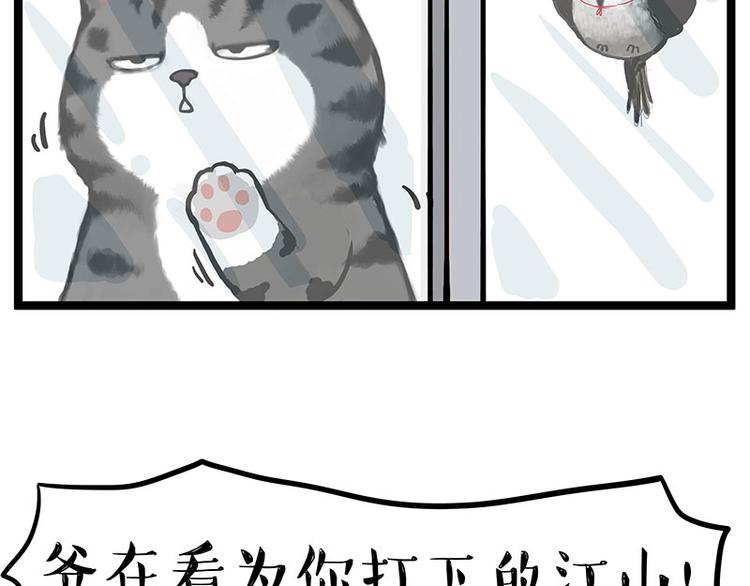 第277话 猫斗猫2
