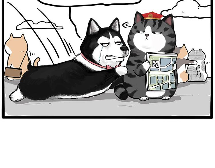 第231话 防骗指南36