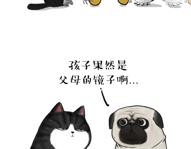 第57话 宠物太粘人是什么体验16