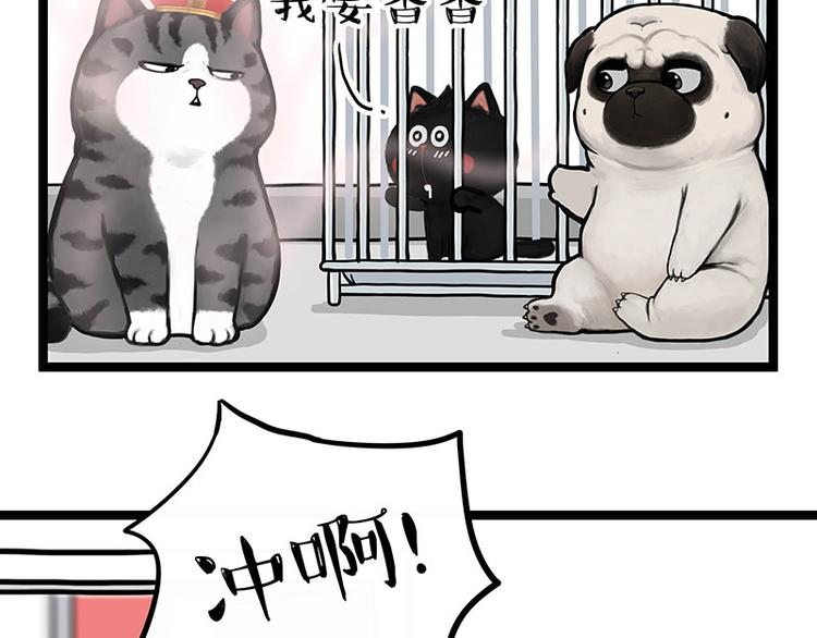 第284话 美喵竟是我自己33