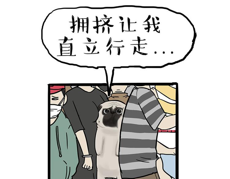 第244话 好家伙，黑衣人？9