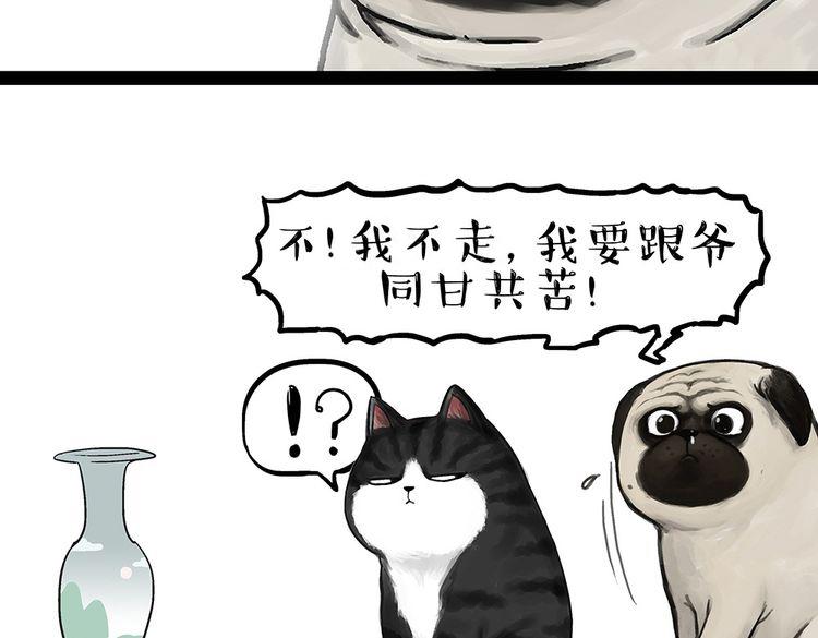第54话 太受关注也不是好事16