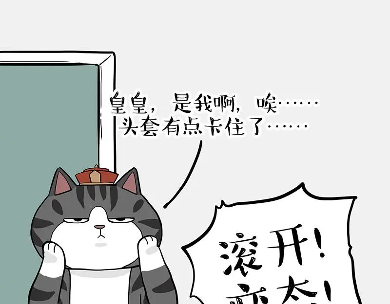 第325话 你不守猫德16