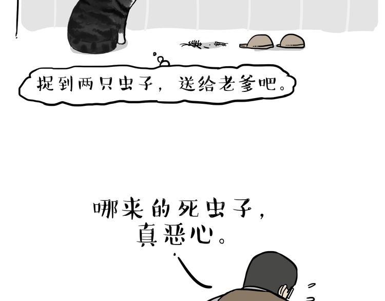 第74话 猫主子送的也敢扔1