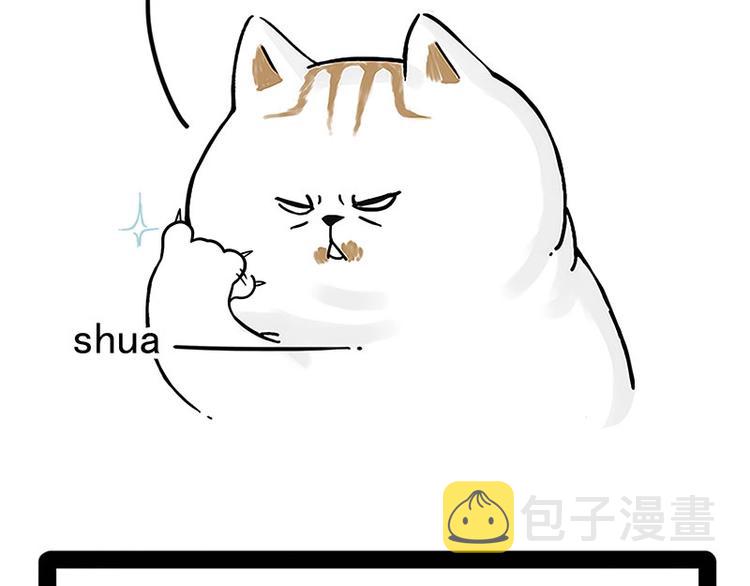 第167话 猫王争霸赛7