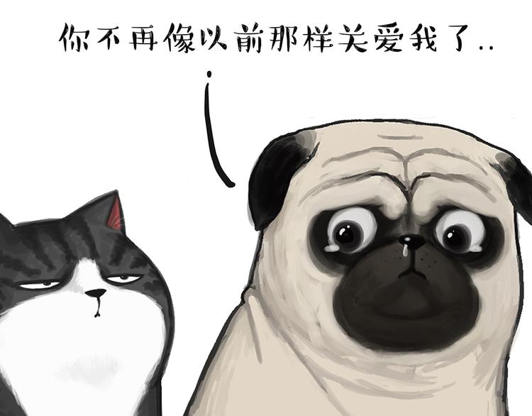 第49话 只见新人笑未闻旧人哭20