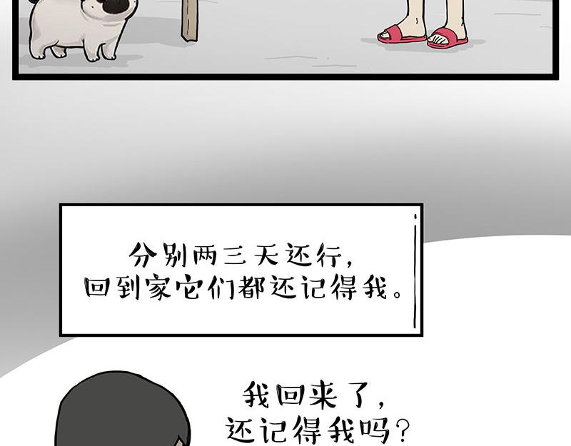 第281话 飞得更高，社死更惨3