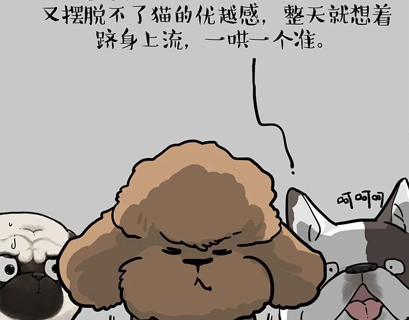 第365话 “神犬”巴扎黑76