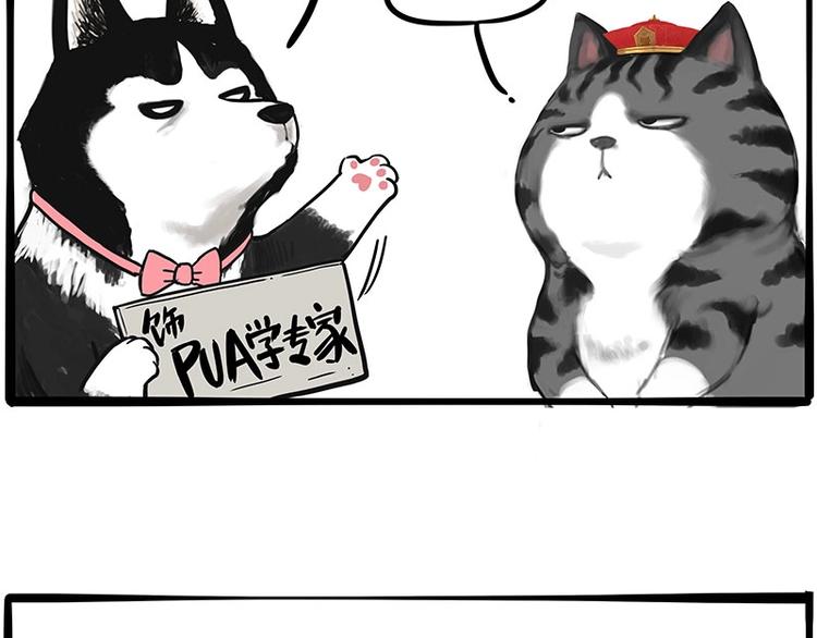 第197话 猫怼狗6