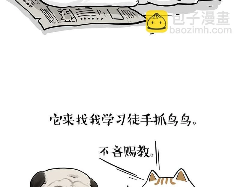 第365话 “神犬”巴扎黑19