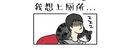 第17话 尽我所能，不打扰你1