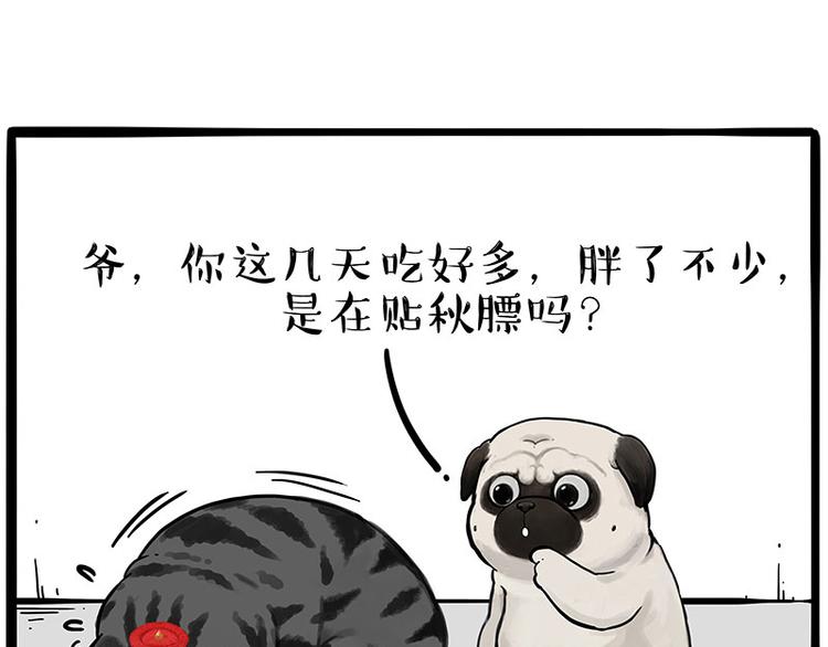 第233话 你太飘了7