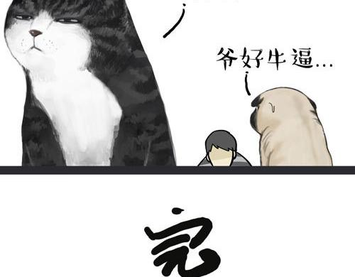 第30话 能运功的喵星人6