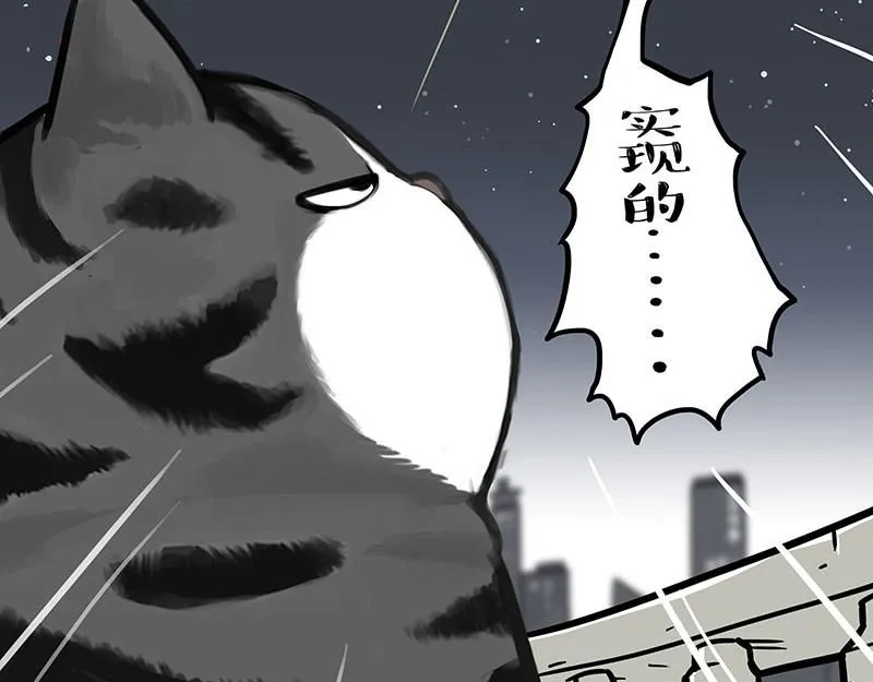 第395话 流星灵得很48