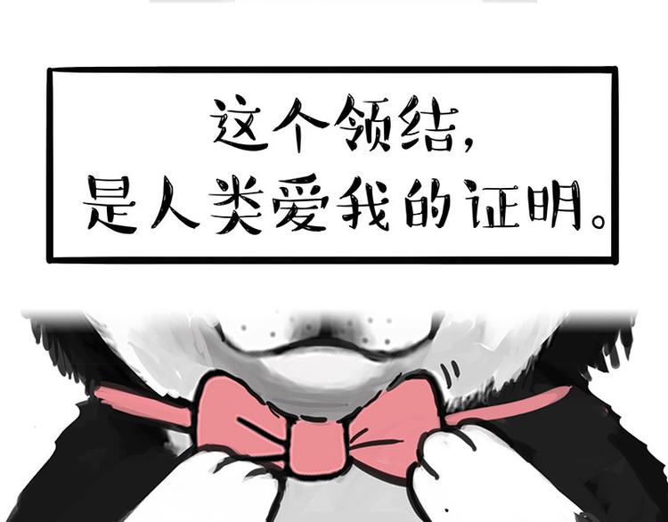 第126话 巴扎黑你什么都不懂70