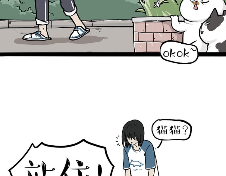 第290话 凶恶猫猫组织54