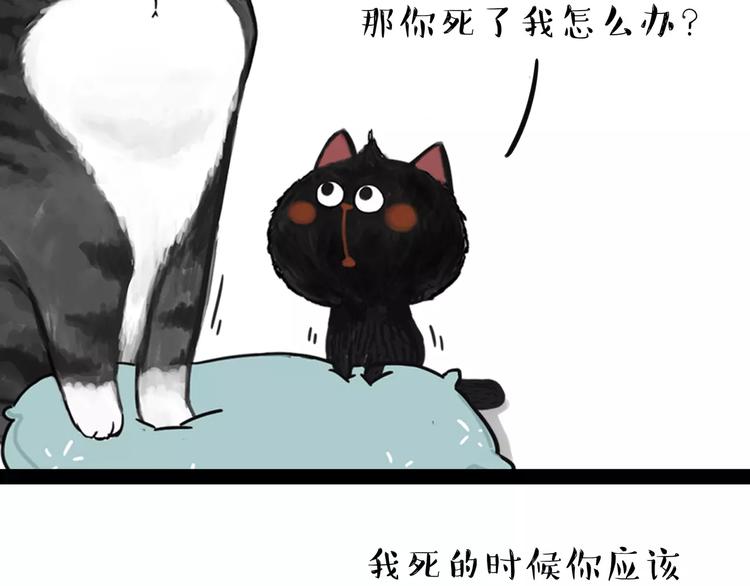 第95话 一辈子在一起22